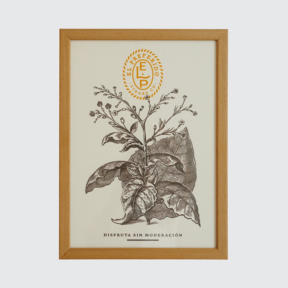 Cuadro El Tabaco Arena